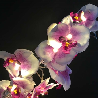Batteridrevet LED lyskæde med orkideer - 30 lys
